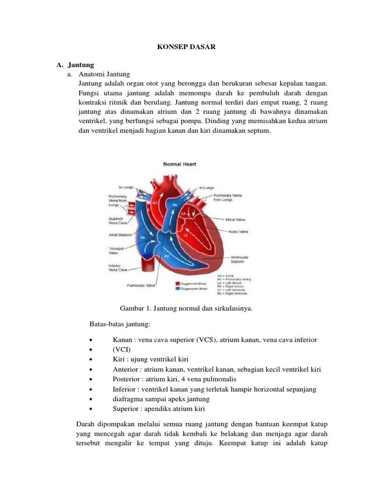 Laporan Pendahuluan Gagal Jantung | PDF