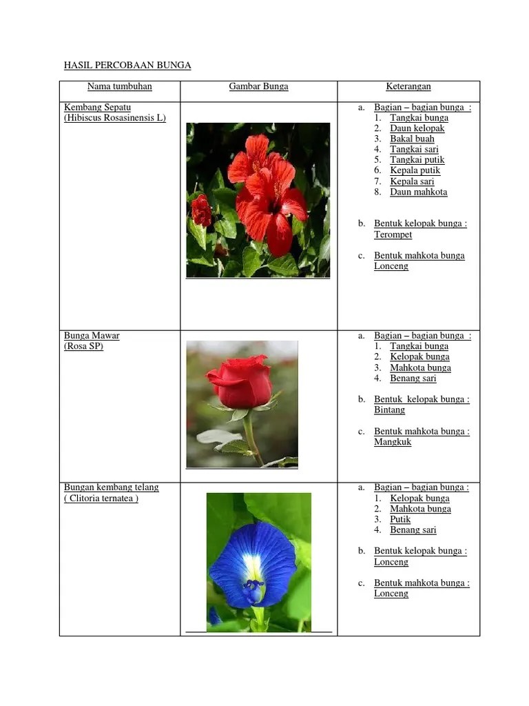 Hasil Percobaan | PDF
