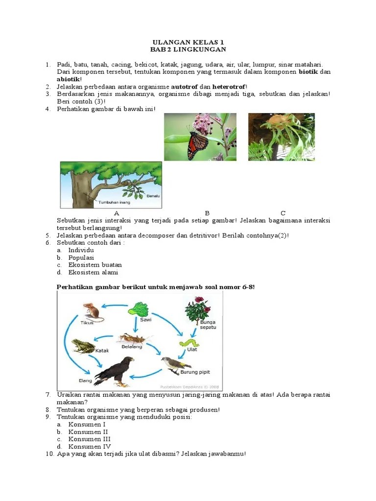 Perbedaan Organisme Autotrof Dan Heterotrof Beserta Contohnya
