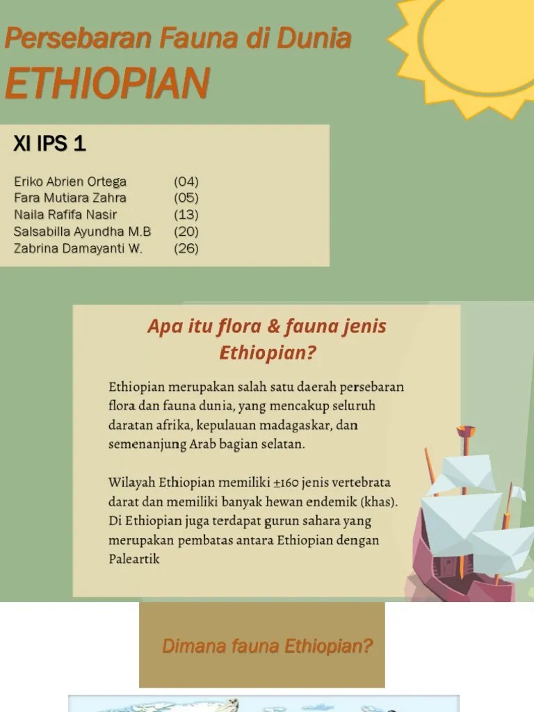 ETHIOPIAN | PDF