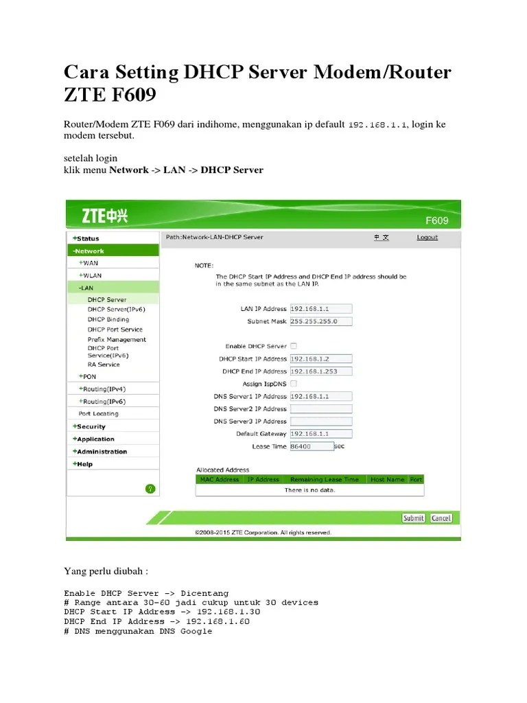 Configuring the DHCP Server on a ZTE F609 Router | PDF