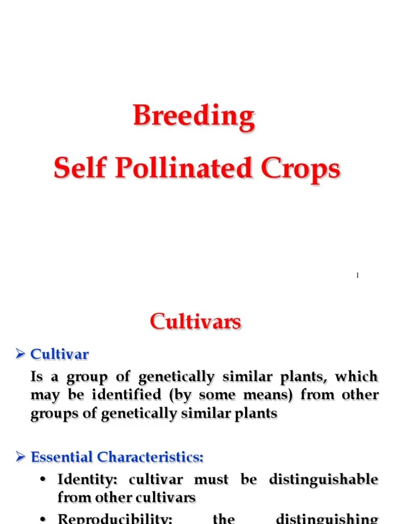 An InDepth Comparison of Pure Line Selection and Mass Selection