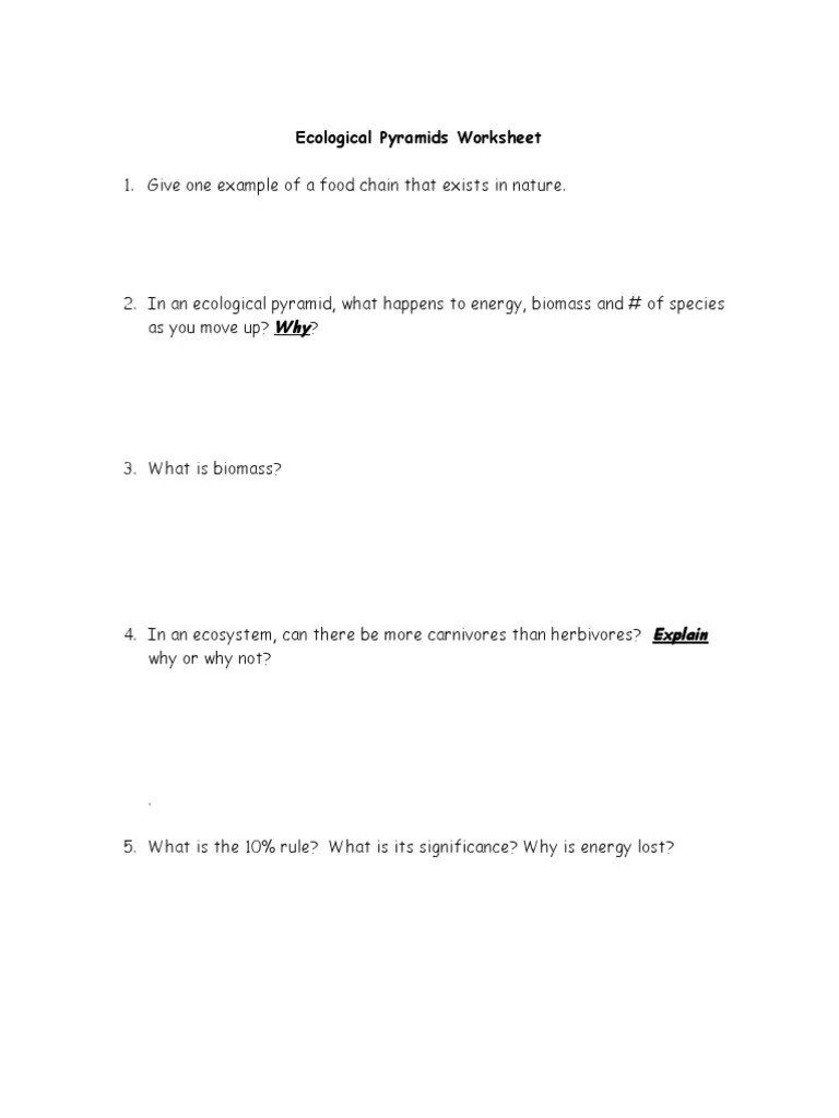 KEY EcologicalPyramidsWorksheet 2013 PDF