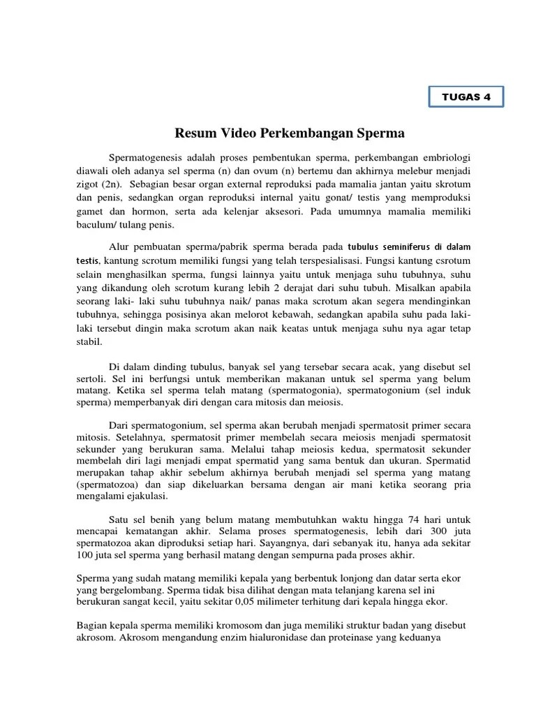 Tugas 4 Youtube Sperma | PDF