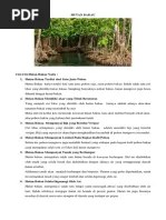 4 Nabi Yang Menerima Suhuf | PDF