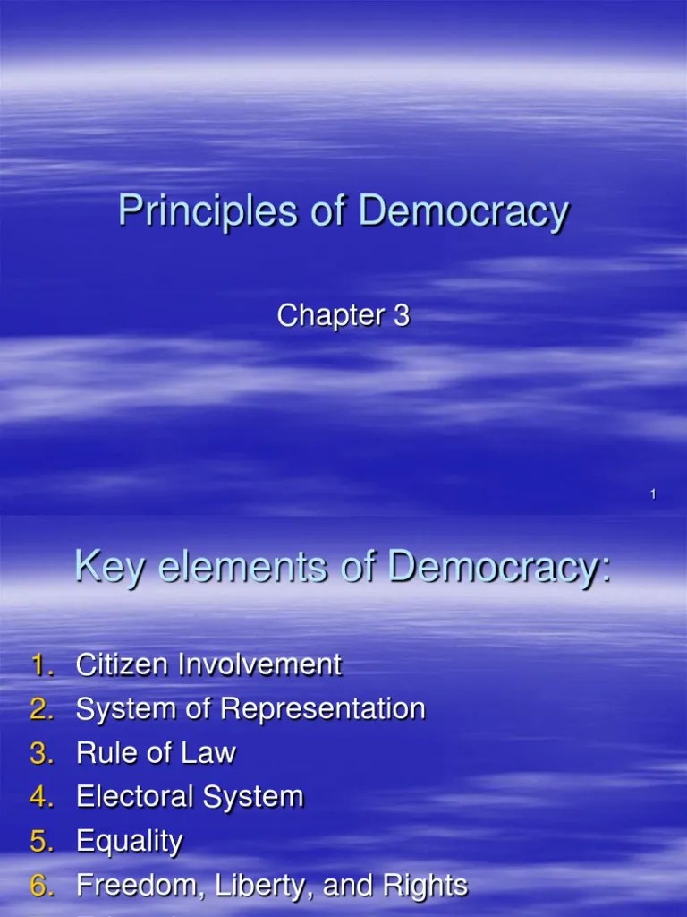 2 Principles of Democracy PDF Democracy Political Ideologies