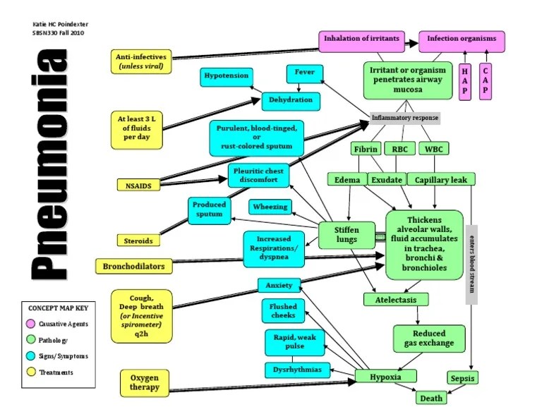 Sample Concept Map For Pneumonia Pneumonia Concept Map_KPoindexter