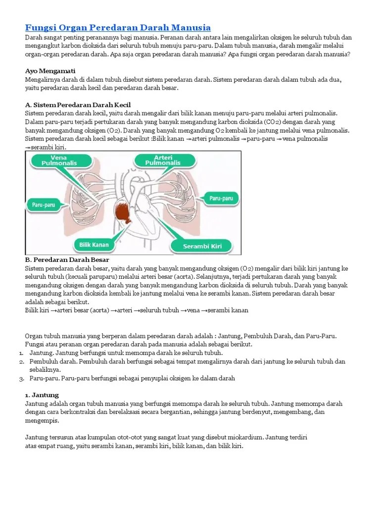 Les Kls 6 Fungsi Organ Peredaran Darah Manusia