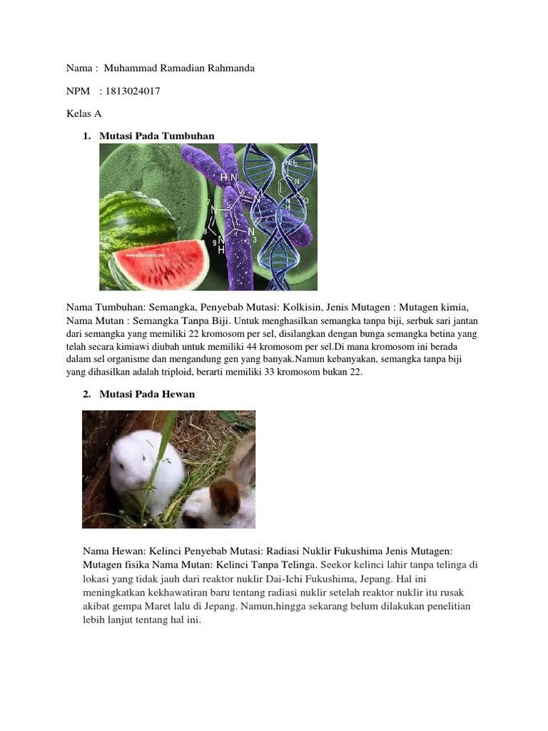 18130240417-Muhammad Ramadian Rahmanda-Tugas Mutasi | PDF
