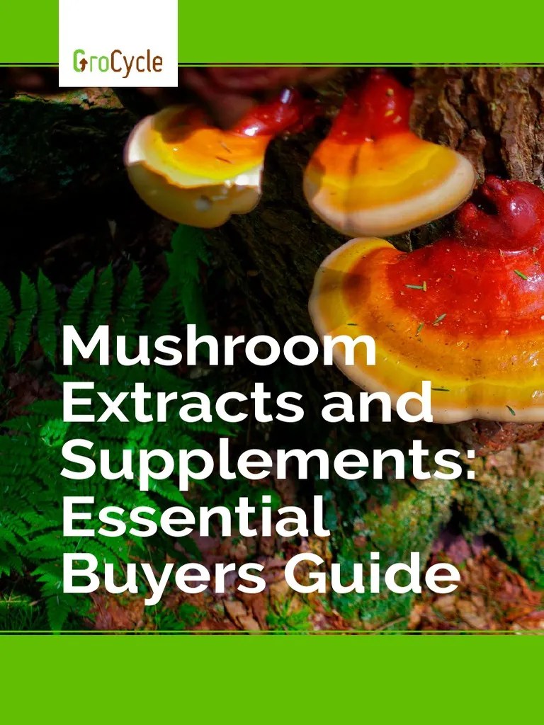 Mushroom Extracts and Supplements Essential Buyers Guide PDF