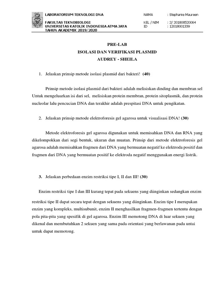Prelab Isolasi Dan Verifikasi Plasmid (1) 2020 | PDF