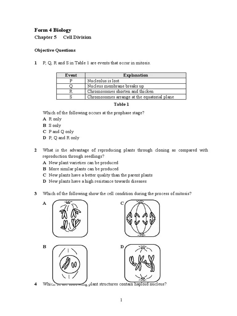 Exercise on Cell Division Earth & Life Sciences Biology