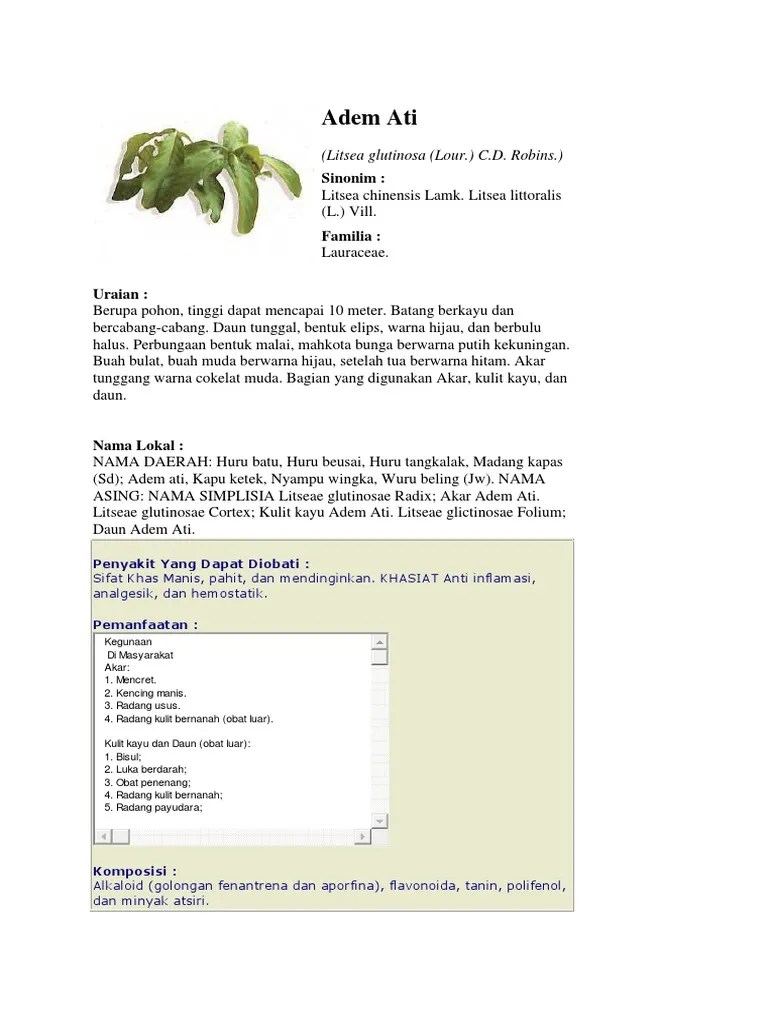 Adem Ati | PDF
