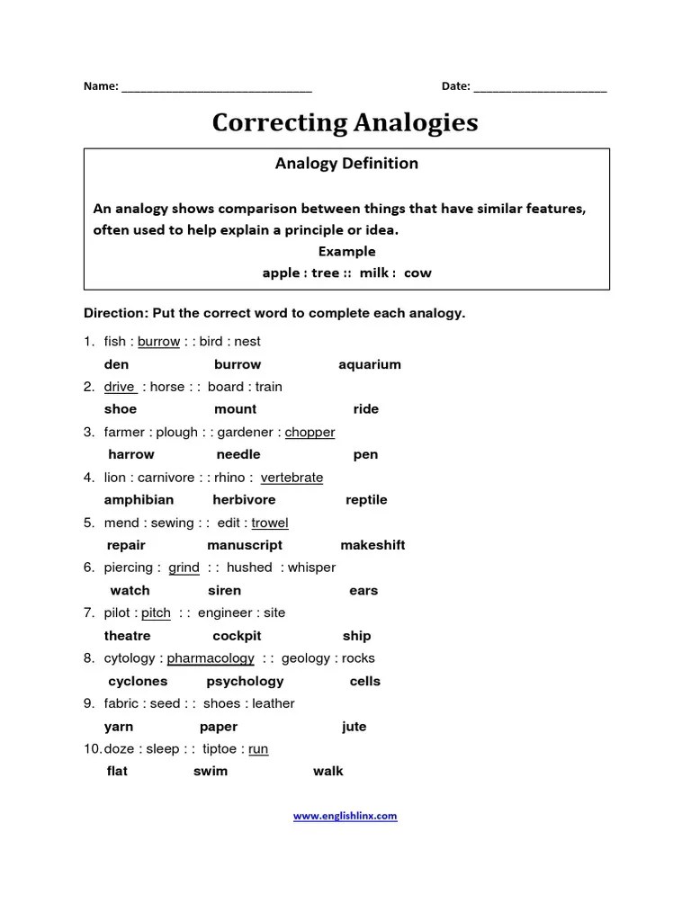 Correcting Analogies Worksheet PDF