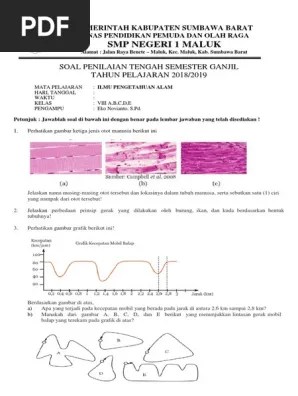 Soal PTS Ipa 8 Abcde 20182019 Ganjil | PDF