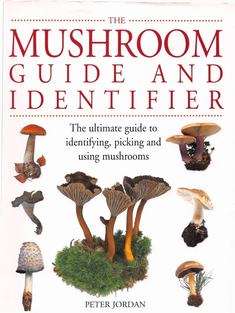 The Mushroom Guide and Identifier | Mushroom | Edible Fungi