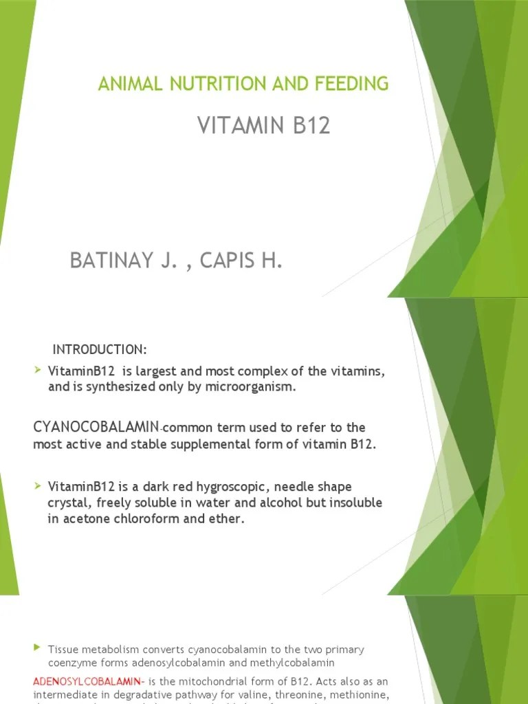 Animal Nutrition and Feeding PDF Vitamin B12 Metabolism