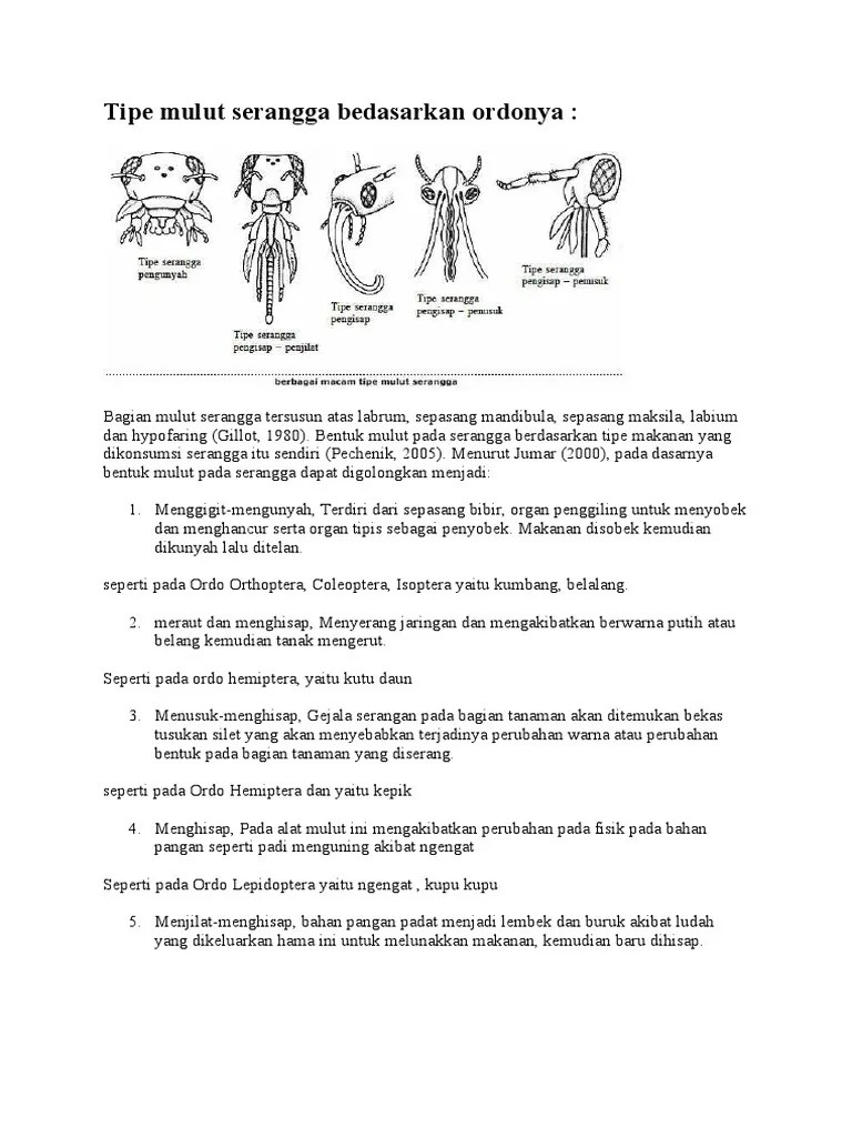 Tipe Mulut Serangga Bedasarkan Ordonya | PDF