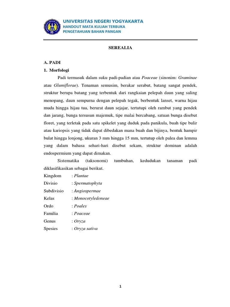 Handout Serealia | PDF