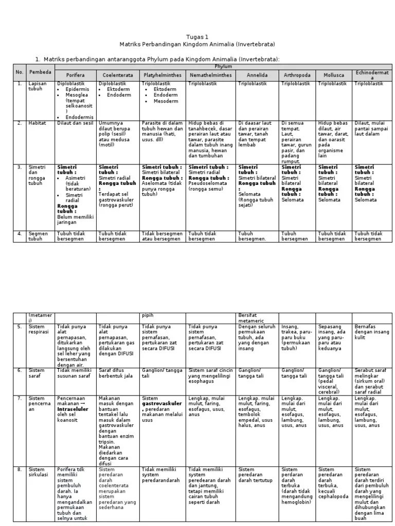 Amri Yy - Tugas 1 - Matriks Kingdom Animalia (Invertebrata) | PDF