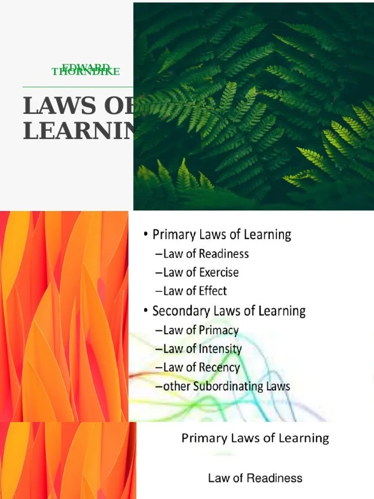 Laws of Learning Edward Thorndike PDF