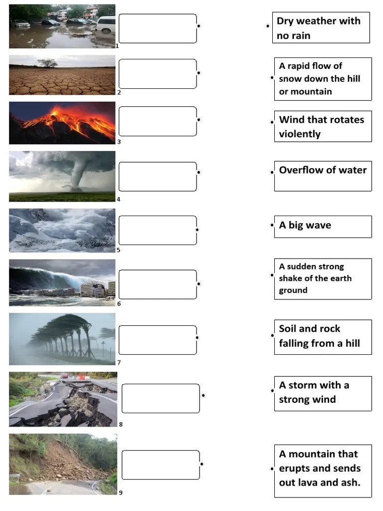 Natural Disaster Worksheet