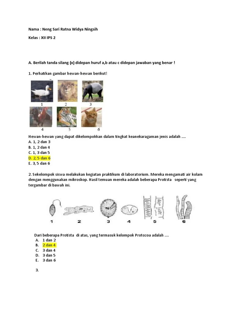 Soal Latihan Us Biologi | PDF