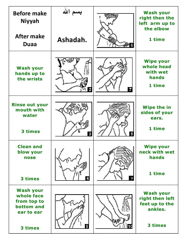 Wudu Steps Flap Book