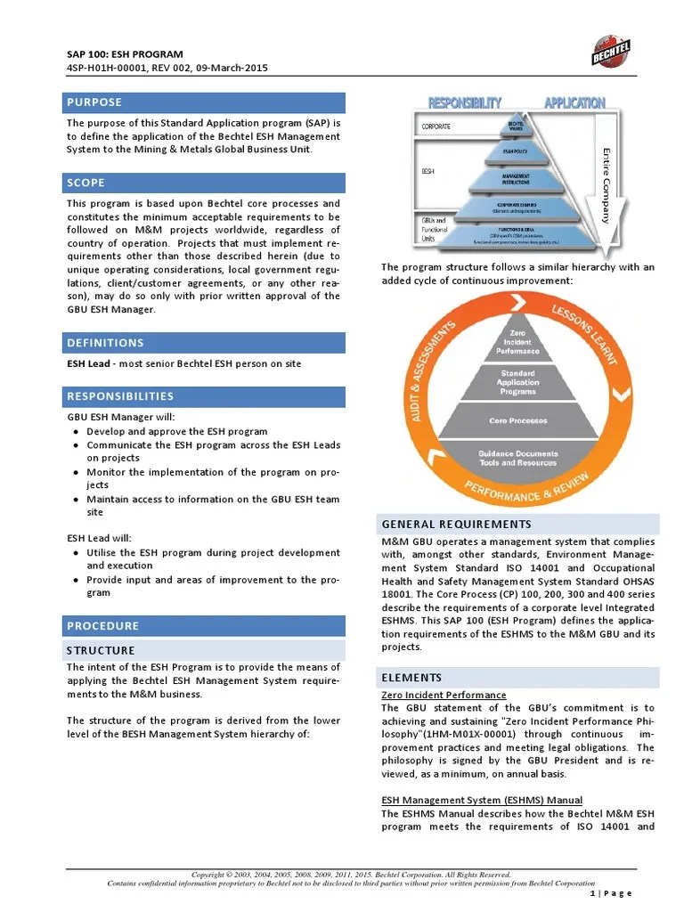 Purpose Sap 100 Esh Program PDF Audit Risk Management