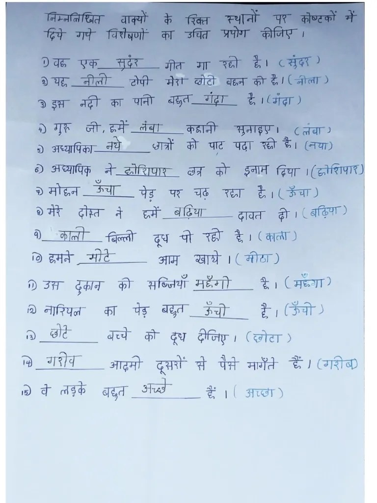 Hindi Assignment 1 PDF PDF