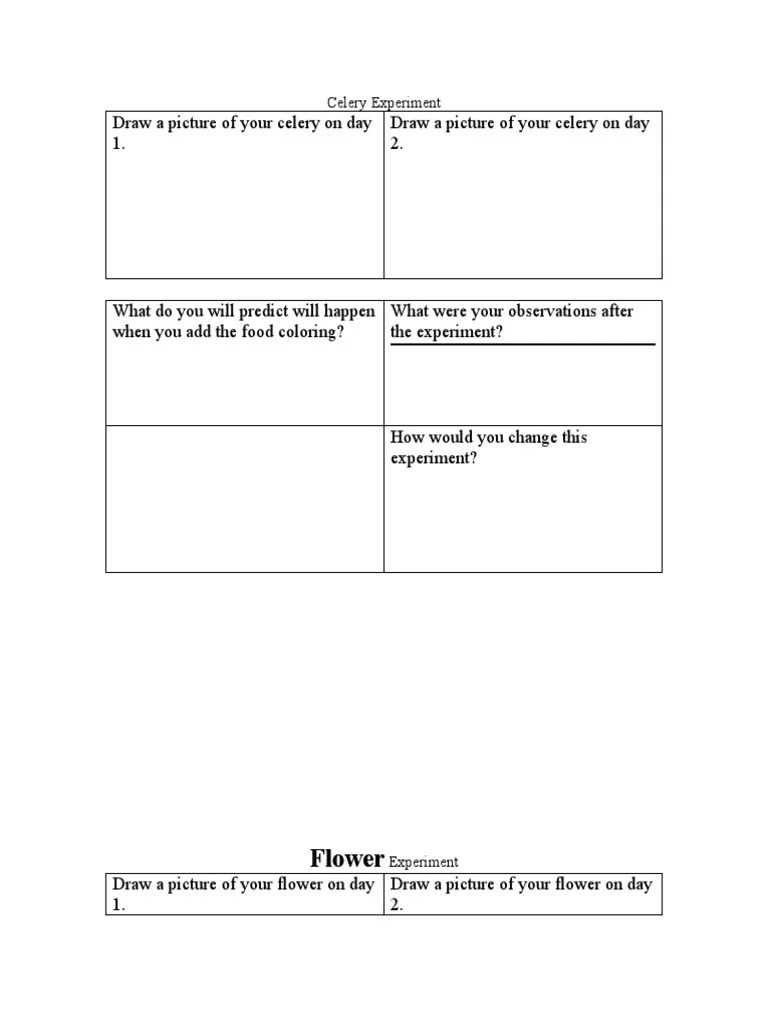 Flower Celery Experiment PDF