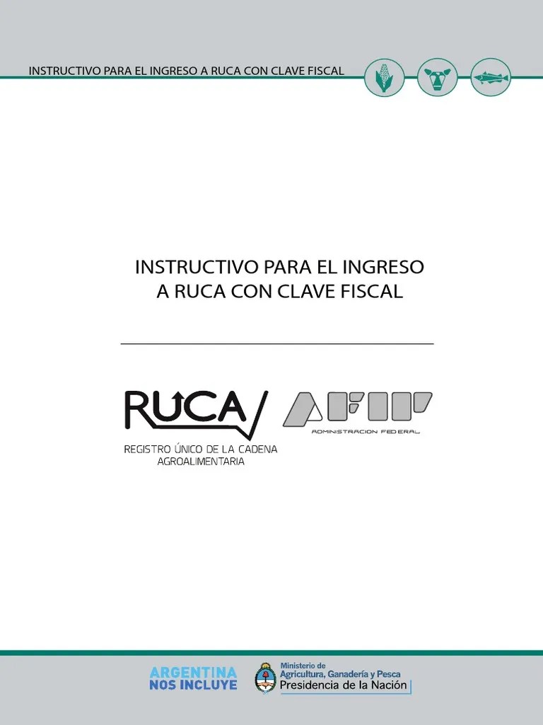 AFIP Instructivo Manual AFIPRUCA PDF PDF Informática Software