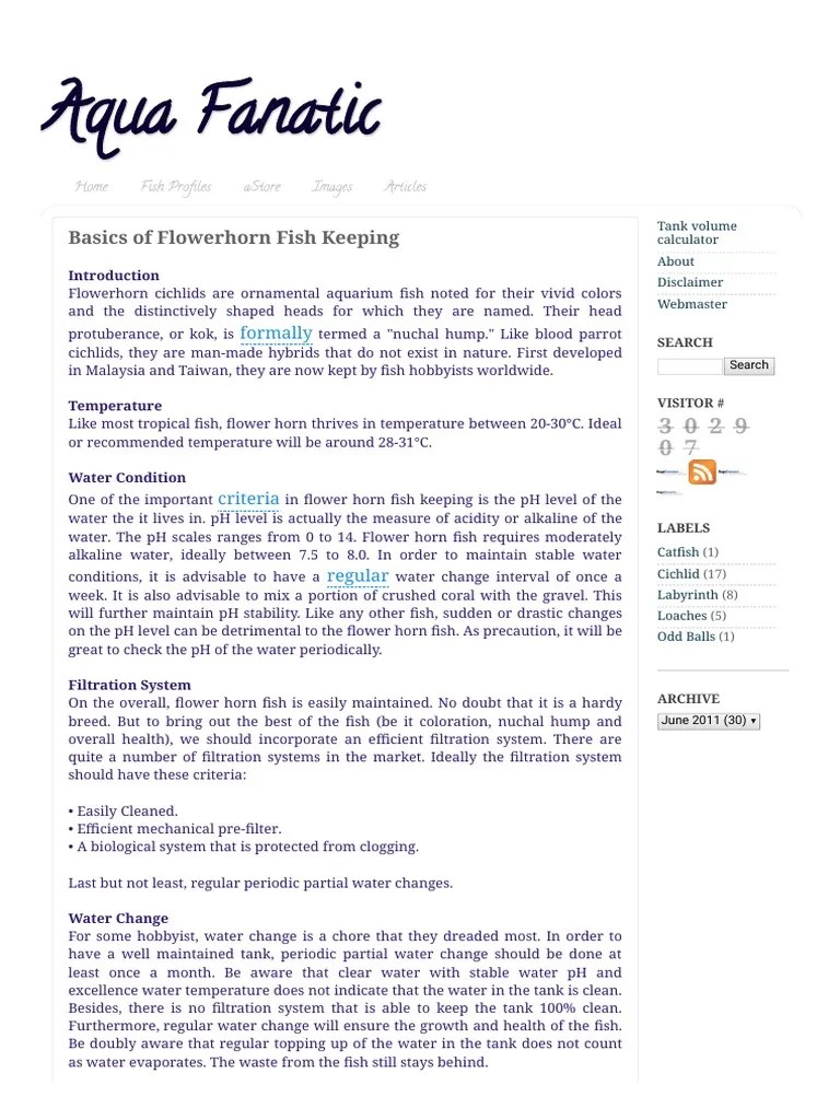 Aqua Fanatic Basics of Flowerhorn Fish Keeping PDF Fishkeeping