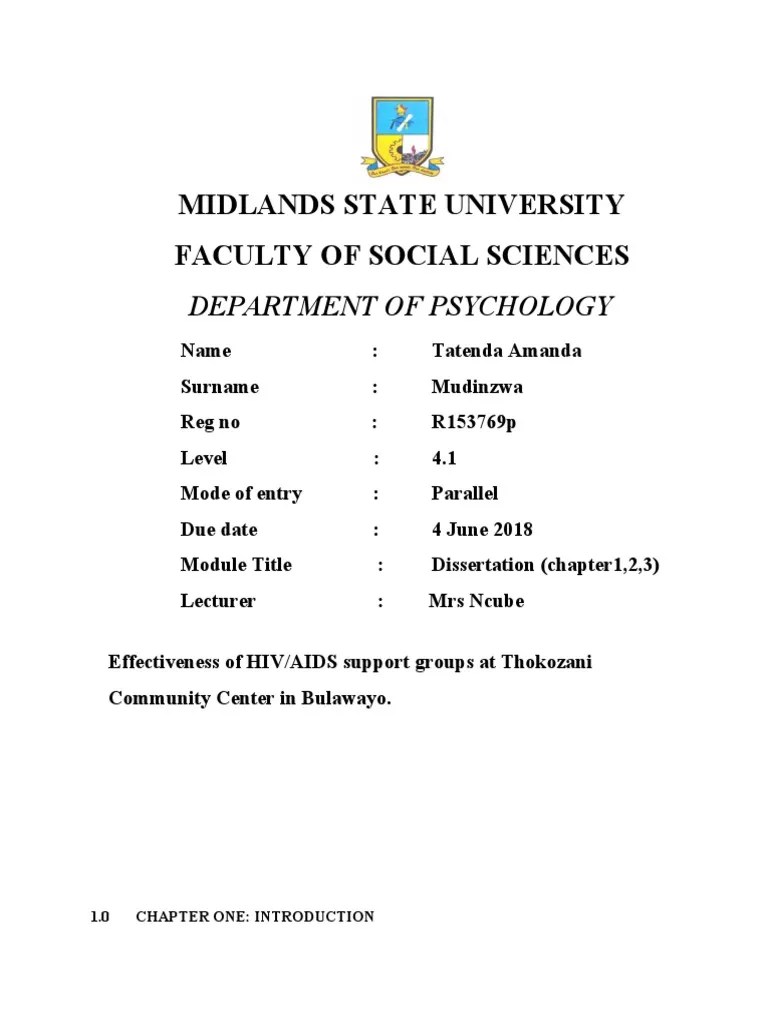 The Lived Experiences and Perspectives of Members of HIV/AIDS Support