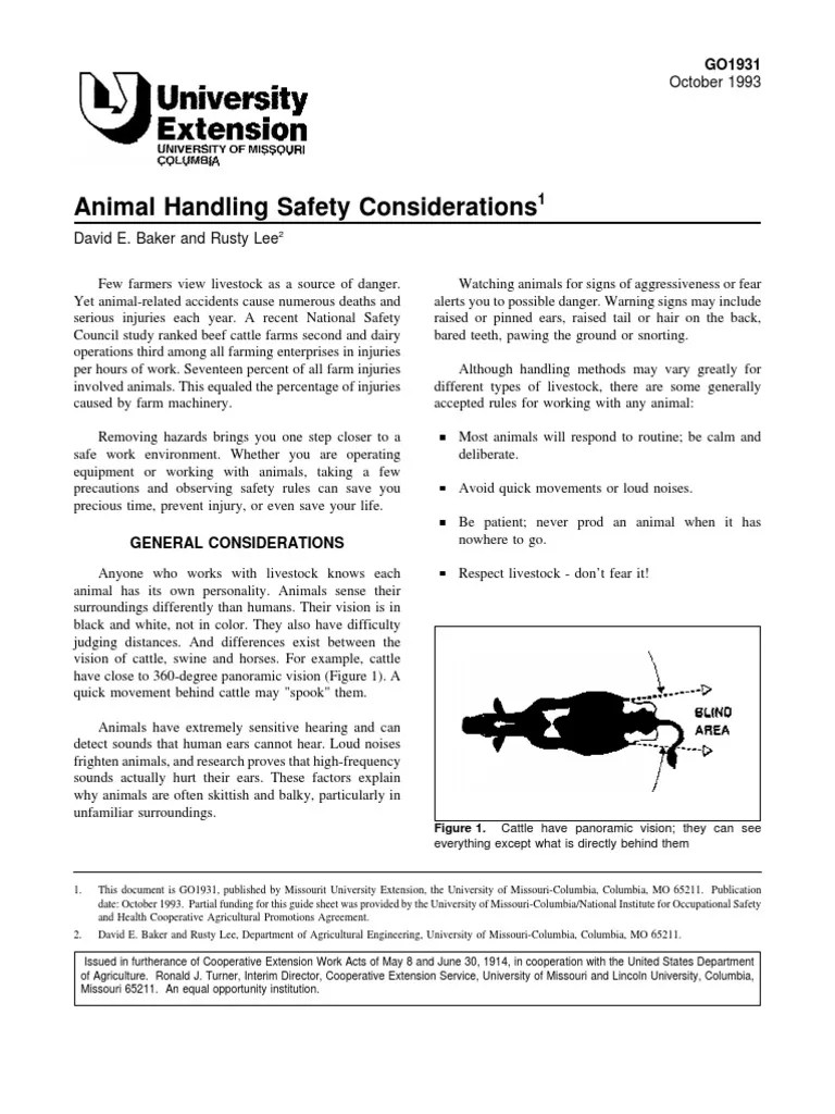 Animal Handling Safety Considerations October 1993 PDF Rabies
