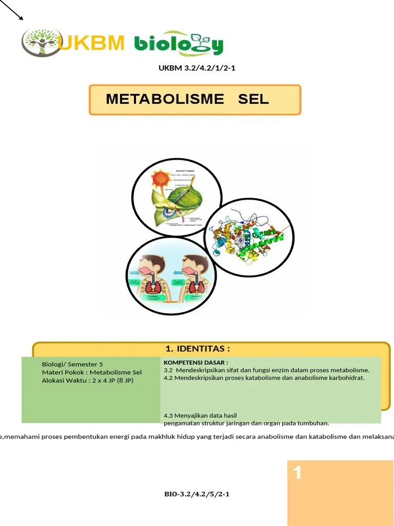 Ukbm 3.2.metabolisme Sel KB 1 - 1 | PDF