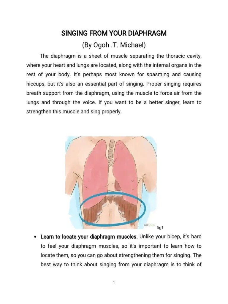 Singing From Your Diaphragm PDF