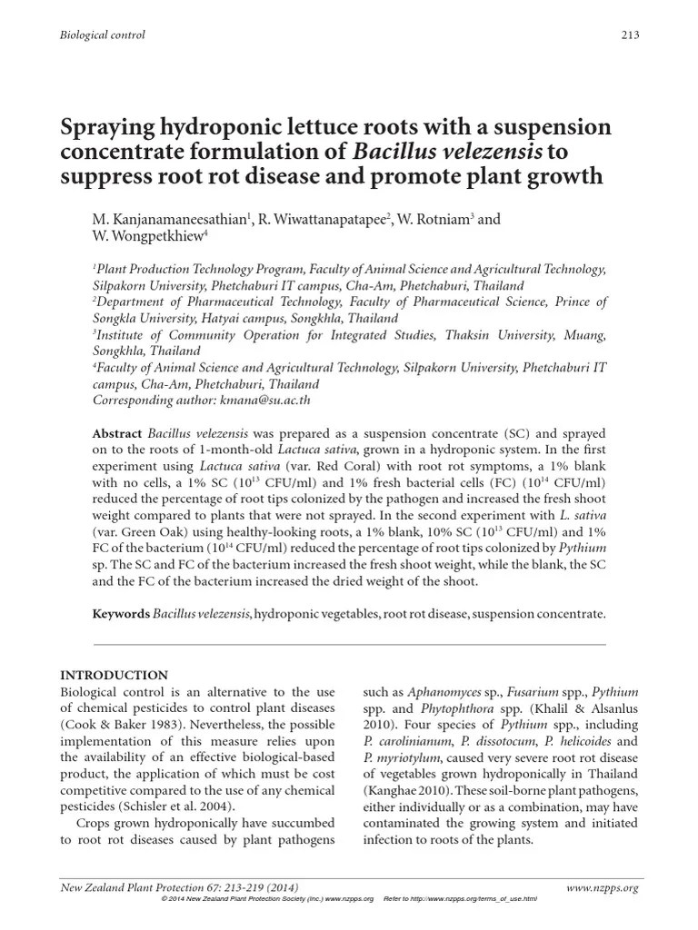 Spraying Hydroponic Lettuce Roots With A Suspension Concentrate Formulation of Bacillus