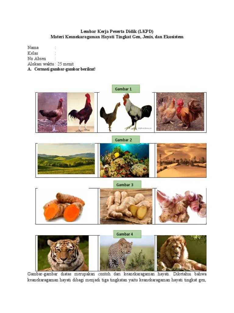 LKPD Keanekaragaman Hayati | PDF