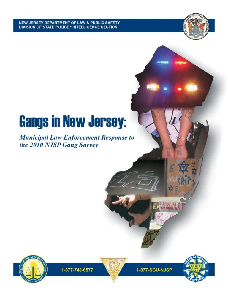 Gangs in New Jersey Municipal Law Enforcement Response to the 2010