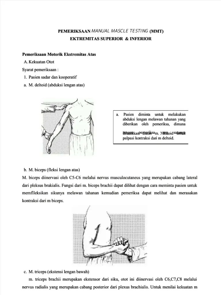 PDF Pemeriksaan Manual Mascle Testing MMT Ektremitas Superior Amp Inferior  - Compress | PDF