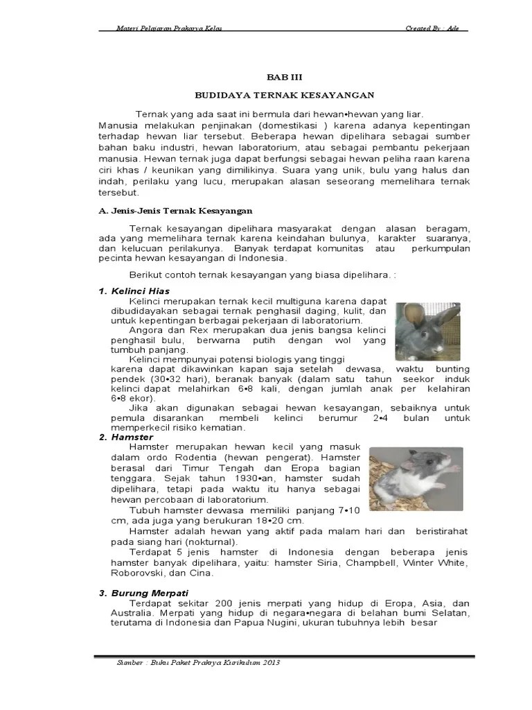 Contoh Soal Budidaya Ternak Kesayangan Kelas 8 Bacaan Siswa