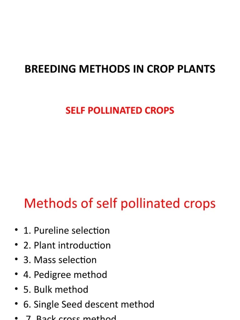 😱 Bulk breeding method. Pure Line Selection and Mass Selection. 20221105