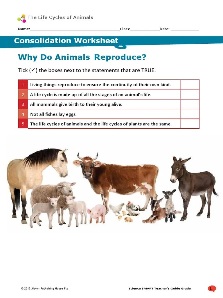 Why Do Animals Reproduce? Consolidation Worksheet PDF Pupa Insects