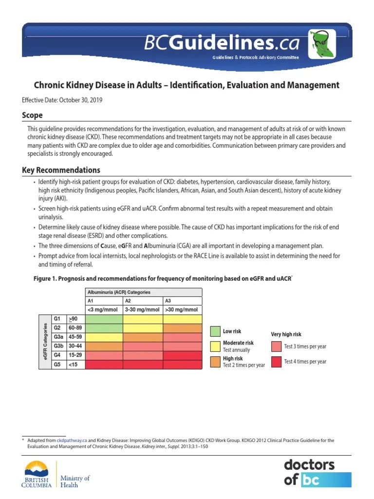 Guidelines for Identifying, Evaluating and Managing Chronic Kidney