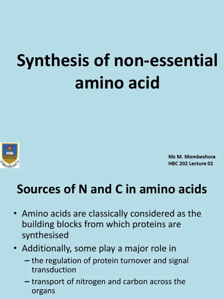 202synthesis of Nonessential Amino Acids Lec 02 PDF PDF