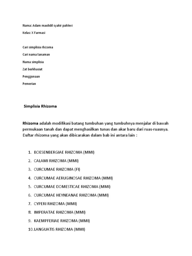 Tugas Farmasi Simplisia Rhizoma | PDF