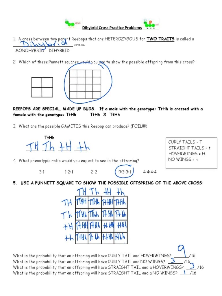 Dihybrid Cross Practice Problems Answer Key PDF Dominance Zygosity