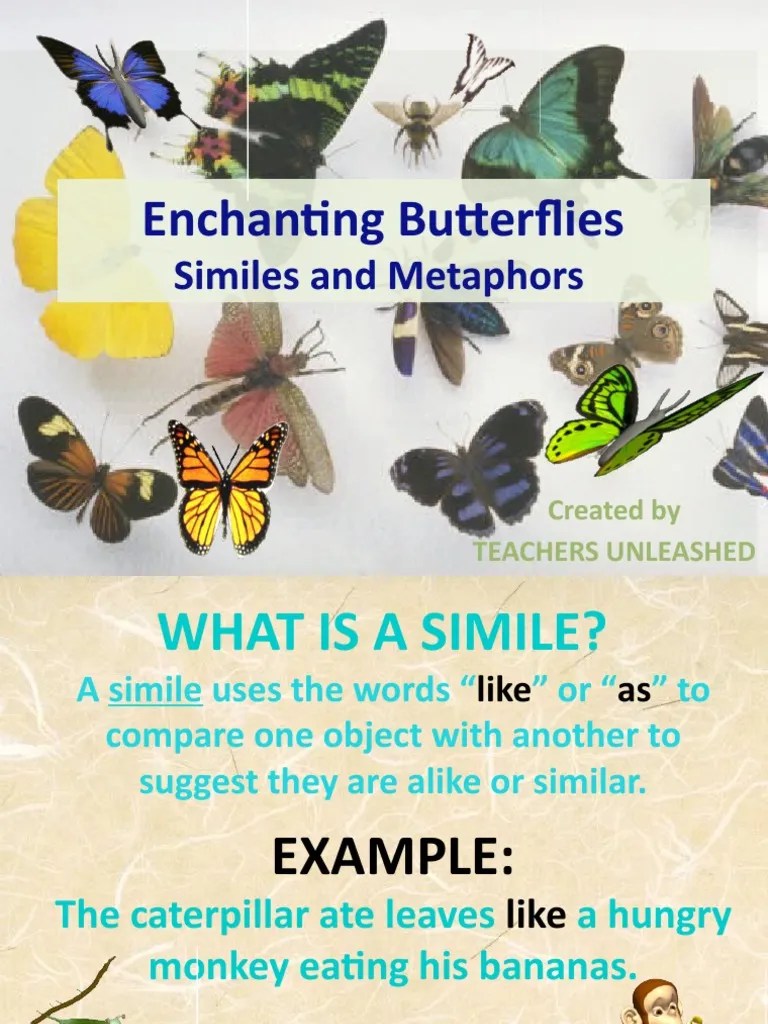 Enchanting Butterflies Similes and Metaphors PDF Butterfly Metaphor