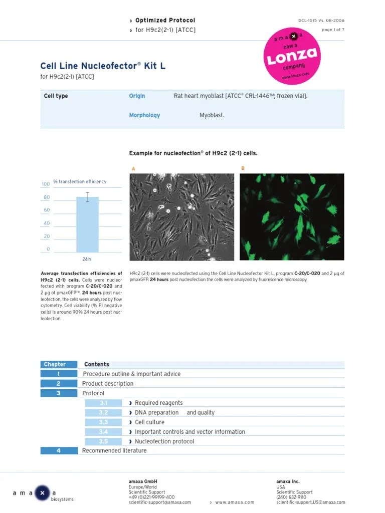 Cell Line Nucleofector Kit L PDF Cell Culture Green Fluorescent